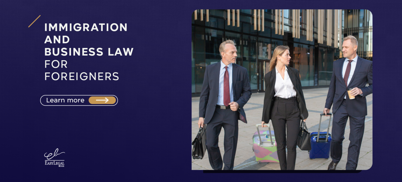 Immigration and business law