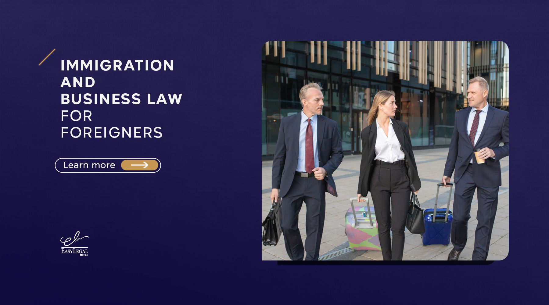 Immigration and business law