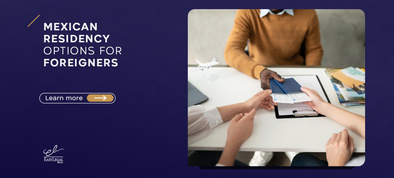 Immigration services in Mexico