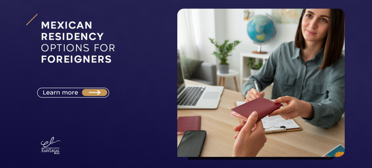 Mexican immigration processes